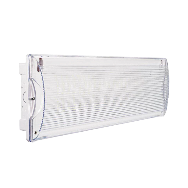 102001 - 5W LED NOODVERLICHTING IP65 WIT 3 uur 350lm - BRY